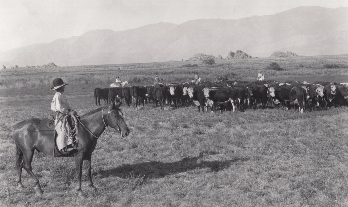 Inyo County (@inyocounty) on Twitter photo Eastern California <a href="/EastCalMuseum/">East Calif. Museum</a> 2017 historic calendar features Cowboys. Check it out on the Museum's Facebook page or call 760-878-0258 Eastern California <a href="/EastCalMuseum/">East Calif. Museum</a> 2017 historic calendar features Cowboys. Check it out on the Museum's Facebook page or call 760-878-0258