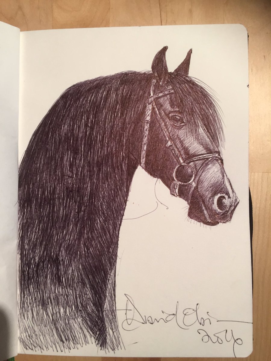 jackiebante's tweet photo. Horsepower # horseimage #Nigerianartist #scandinavianartist #Norway #göteborg #Sweden #scandinavianart #oslo #pendrawing by #DavidObi https://t.co/LxxfjIimIi