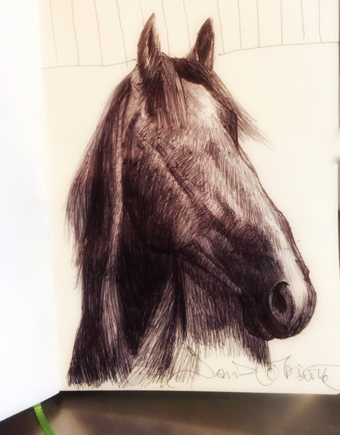 jackiebante's tweet photo. Horsepower # horseimage #Nigerianartist #scandinavianartist #Norway #göteborg #Sweden #scandinavianart #oslo #pendrawing by #DavidObi https://t.co/YOZlwmoDXC