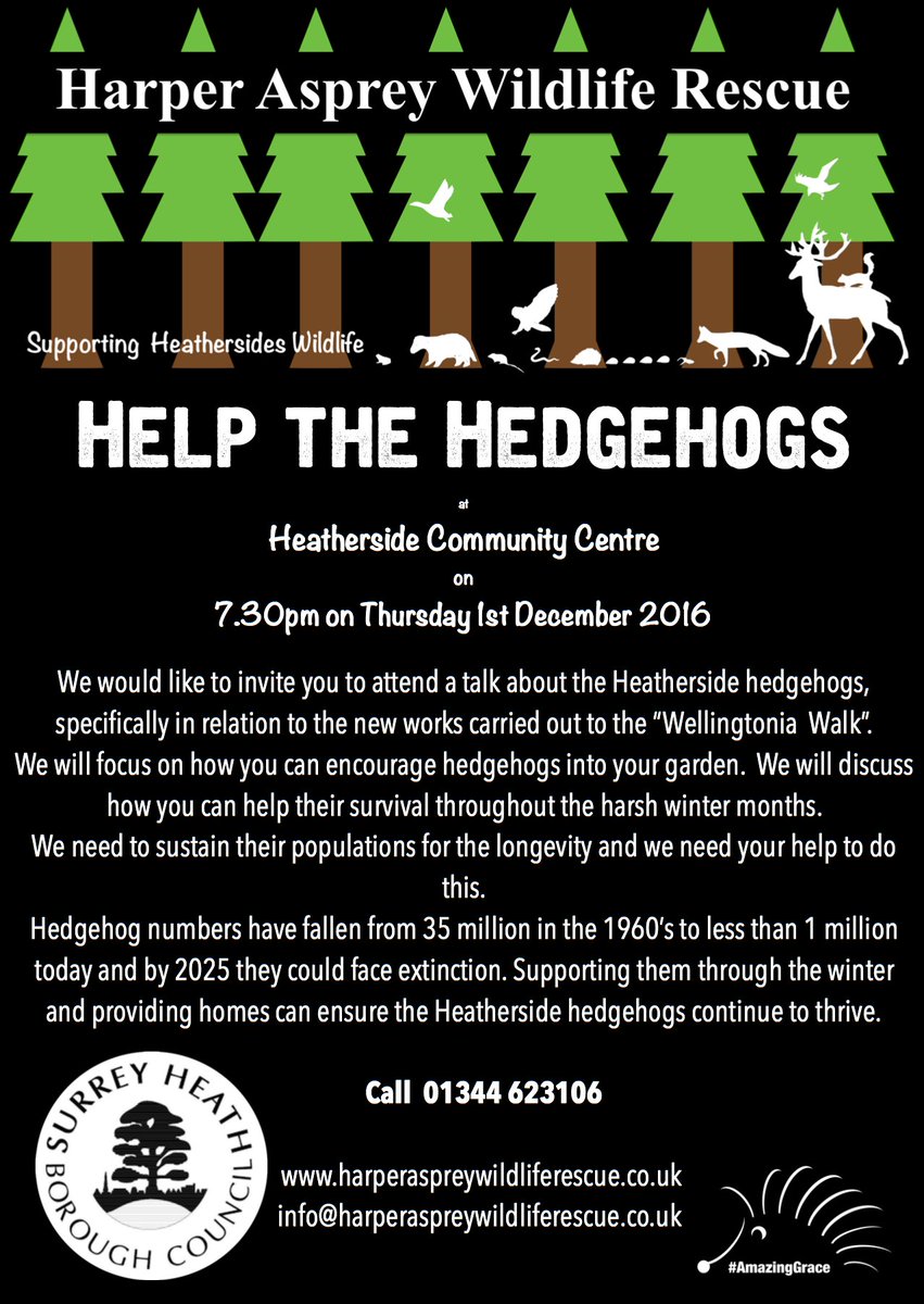 Harper Asprey Wildlife Rescue (@hawildlife) on Twitter photo Working with <a href="/Surreyheath/">Surrey Heath Borough Council</a> supporting Hedgehogs on Heatherside. Come along & find out how to help. <a href="/patlazysundays/">Patricia Groves</a> <a href="/hedgehogsociety/">Hedgehog Society</a> <a href="/PTES/">People's Trust for Endangered Species</a> Working with <a href="/Surreyheath/">Surrey Heath Borough Council</a> supporting Hedgehogs on Heatherside. Come along & find out how to help. <a href="/patlazysundays/">Patricia Groves</a> <a href="/hedgehogsociety/">Hedgehog Society</a> <a href="/PTES/">People's Trust for Endangered Species</a>