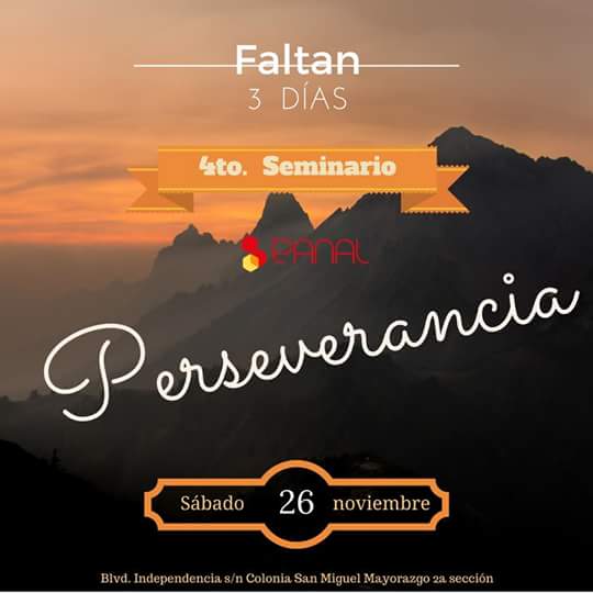 Panal - México tweet media