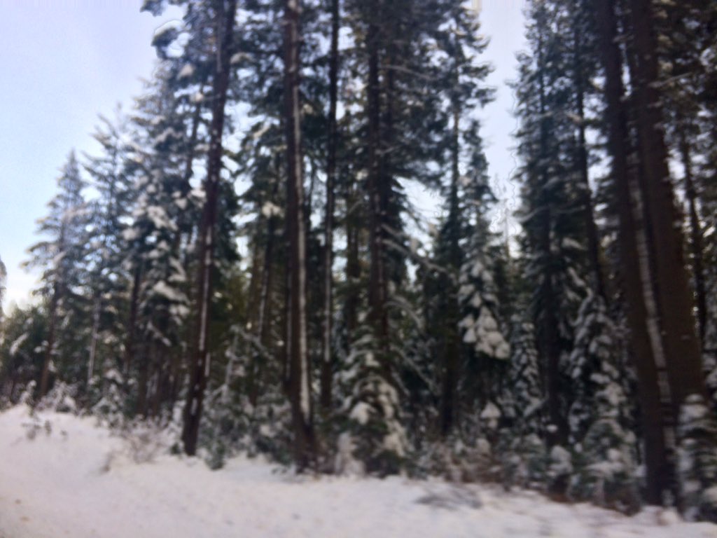 NewsMcGraw's tweet photo. Snow, snow, snow! Tahoe you are beautiful! #LetsMakeASnowman #SkiBreak #TisTheSeason #BringingHomeAChristmasTree #HoHoHo #CBS13 https://t.co/sgREP1kkjh