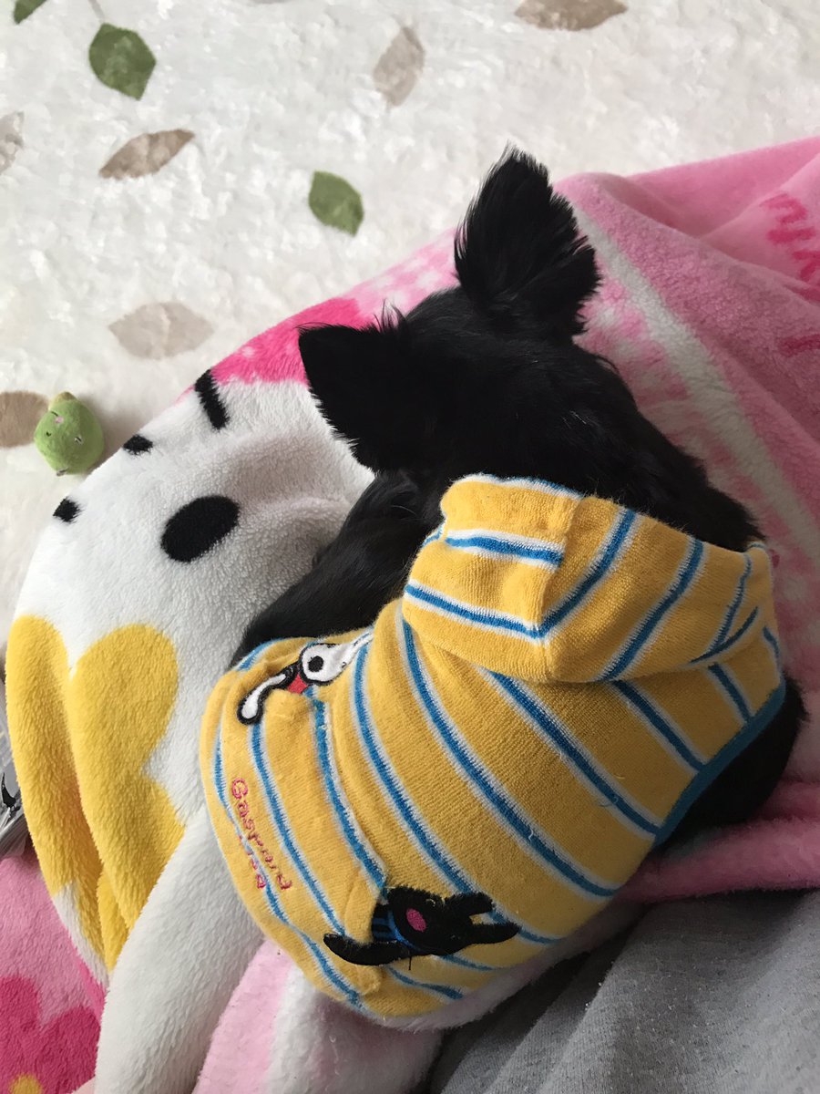 yn_42's tweet photo. 休みだからって
どいつもこいつもあたしも
動く気なし。 https://t.co/wYTus6OuW1