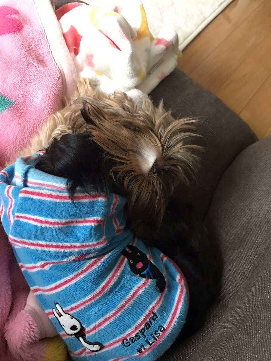 yn_42's tweet photo. 休みだからって
どいつもこいつもあたしも
動く気なし。 https://t.co/wYTus6OuW1