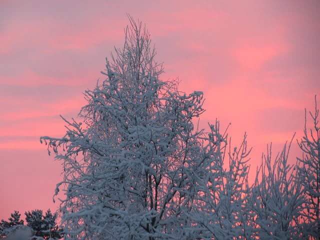 마음이 
늘 
욕심에 휘둘린다면,
자명한 진리를 담은 
글과 영상을 접하고,
진리을 생각하는 
시간을 자주 가지 십시요,
틈나는 대로 
자명한 진리를 보고,듣고,
음미 하십시요,
「윤홍식」