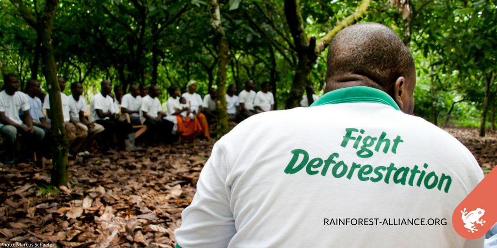 Rainforest Alliance (@rnfrstalliance) on Twitter photo "Now is the time for the #sustainability community to band together." <a href="/NigelSizer/">Nigel Sizer</a> on the realities of #climatechange bit.ly/COP22-BigPictu… "Now is the time for the #sustainability community to band together." <a href="/NigelSizer/">Nigel Sizer</a> on the realities of #climatechange bit.ly/COP22-BigPictu…