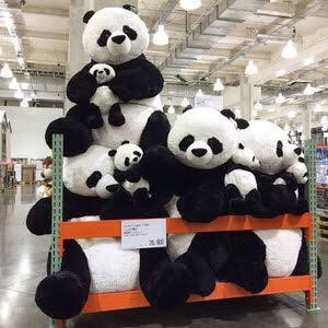 金庫通販 コストコ パンダ ぬいぐるみ ぬいぐるみ Ekja Ee