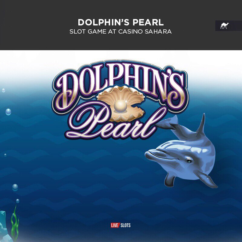 Dolphins pearl deluxe казино blogs северный кипр казино отзывы
