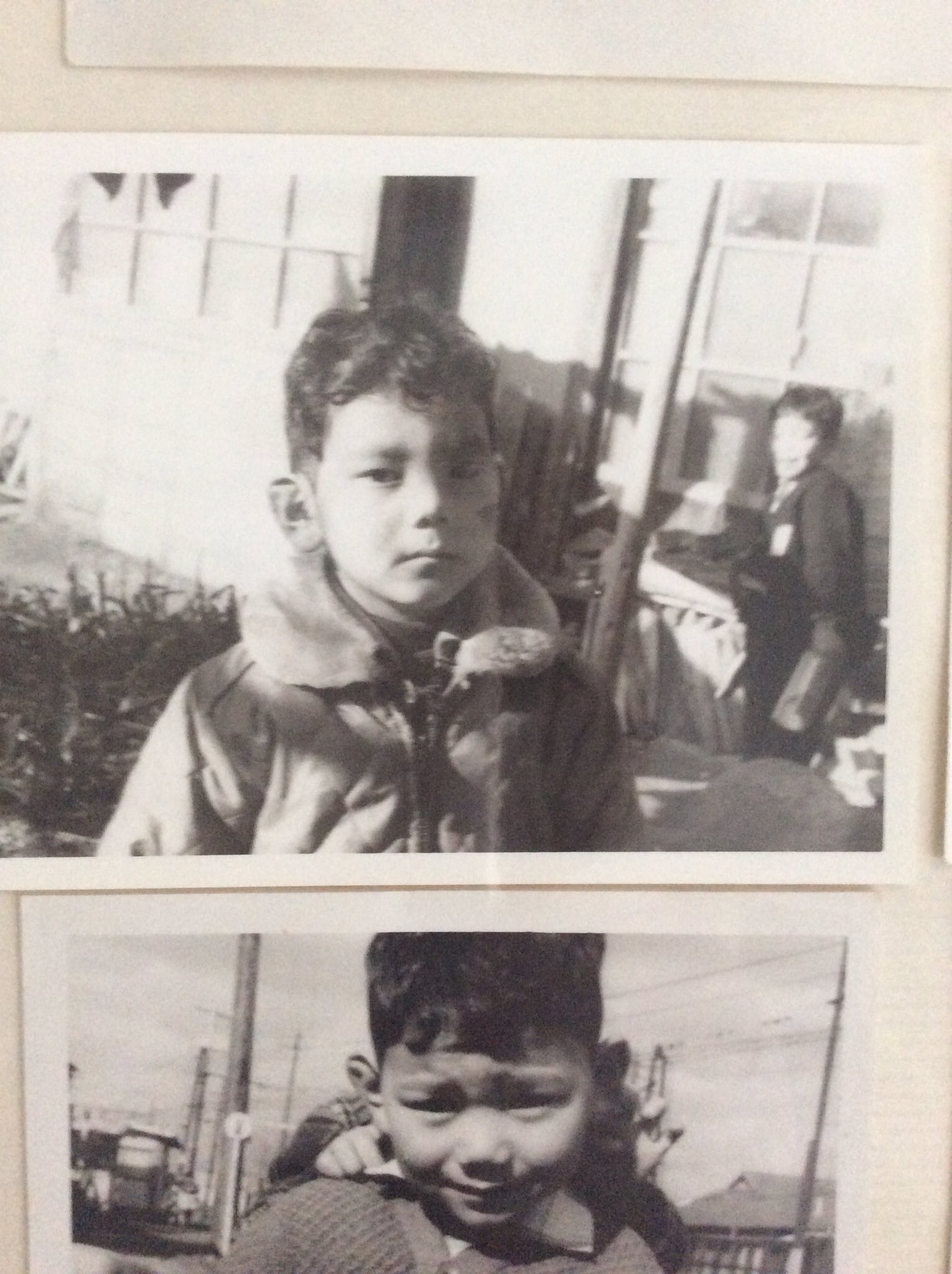 安野モヨコ ついでに幼少期ショット２枚 義母によると耳たぶが大きいことで有名だったそうです 可愛い モヨコ 庵野秀明監督 T Co Ugdb9abset Twitter