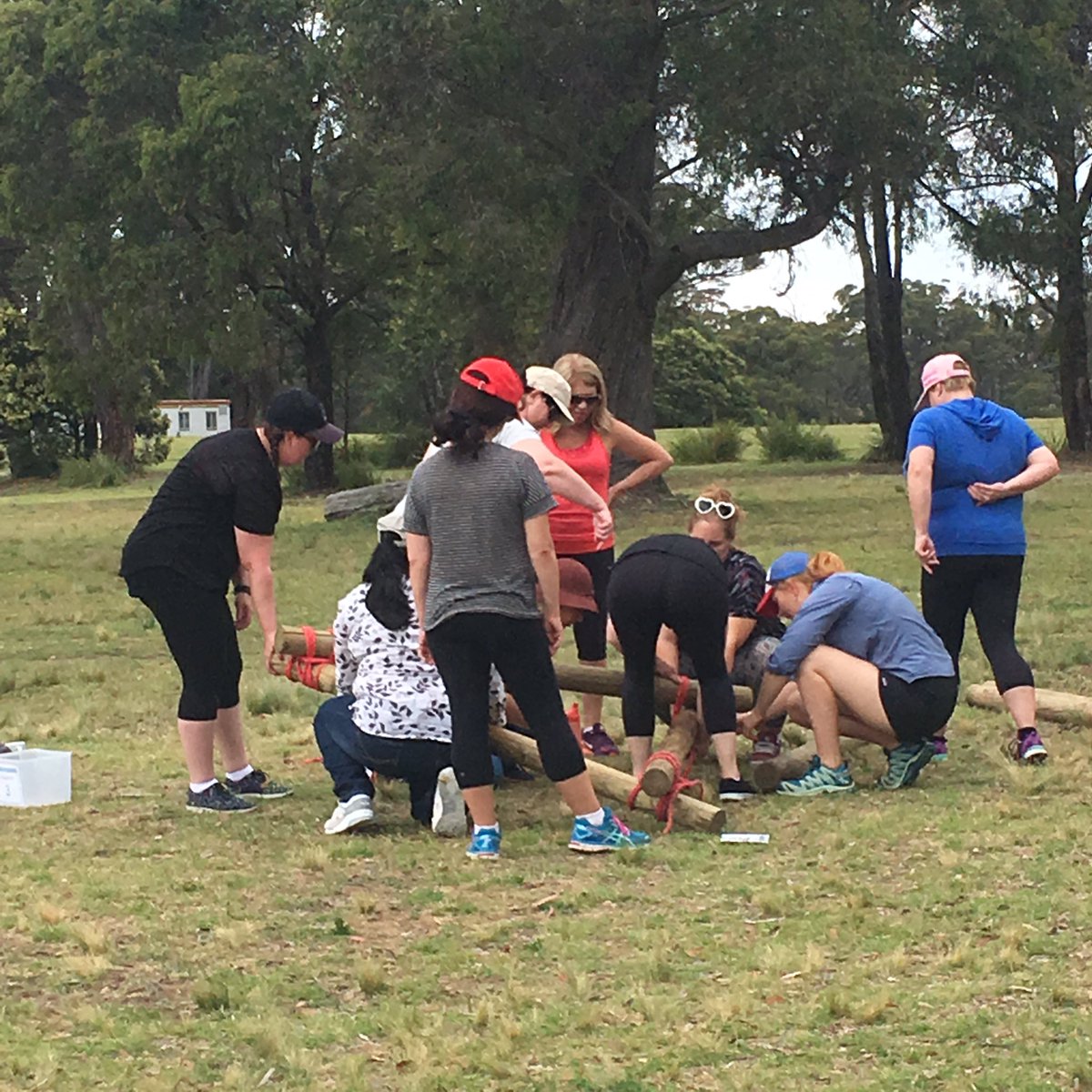 acn_nursing's tweet photo. ACN staff completing the catapult challenge @CampWombaroo for our team building day! https://t.co/GYiMa4mDob