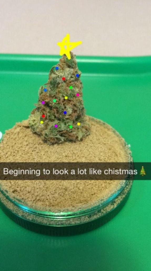 RxLeafMD's tweet photo. It's beginning to look a lot like Christmas https://t.co/TzjBsk7fpa