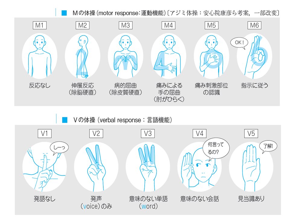 ゴローちゃん@医ンプット on Twitter: "今日の暗記法 GCSの覚え方は？ 【暗記法詳細】 https ...