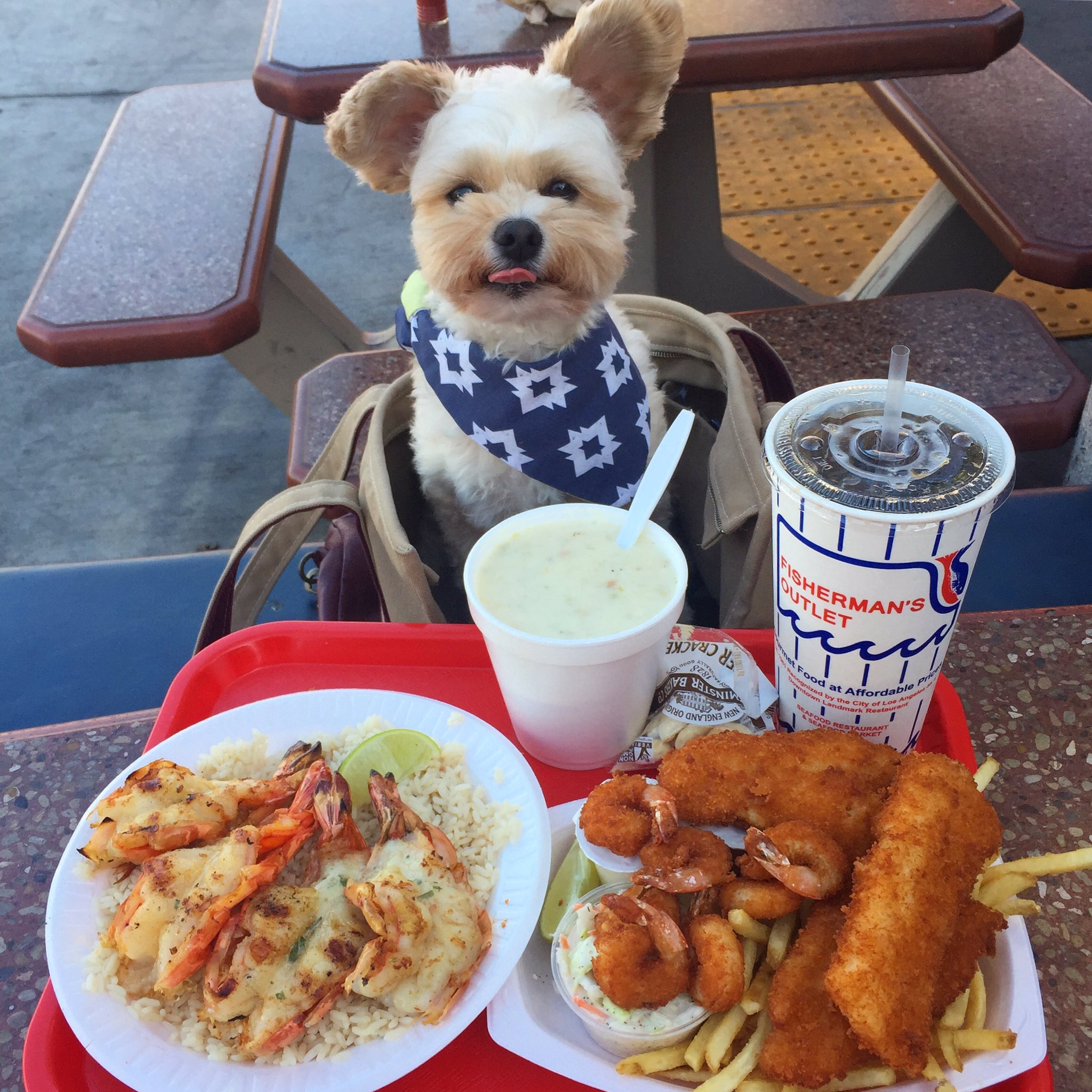Popeye the Foodie on X: Still on that see food diet. Grilled jumbo shrimp,  clam chowder, and fried fish and shrimp combo at the Fisherman's Outlet in  Downtown LA  / X