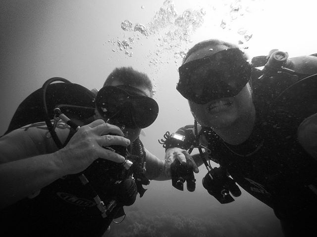 Jaws #vietnamfreediving #freediving  #apnea #nhatrang #Vietnam  #gopro #ocean #padi freedivingvietnam.com scubadivecourses.com