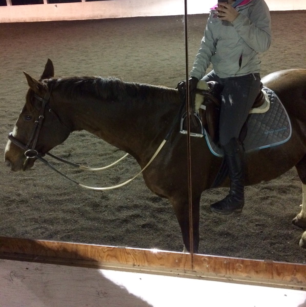 thepoorrider's tweet photo. I like to suffer #justeqthings https://t.co/sFujta8Na9