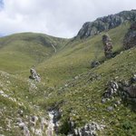 Photo by Showme Hermanus (@ShowMe_Hermanus)