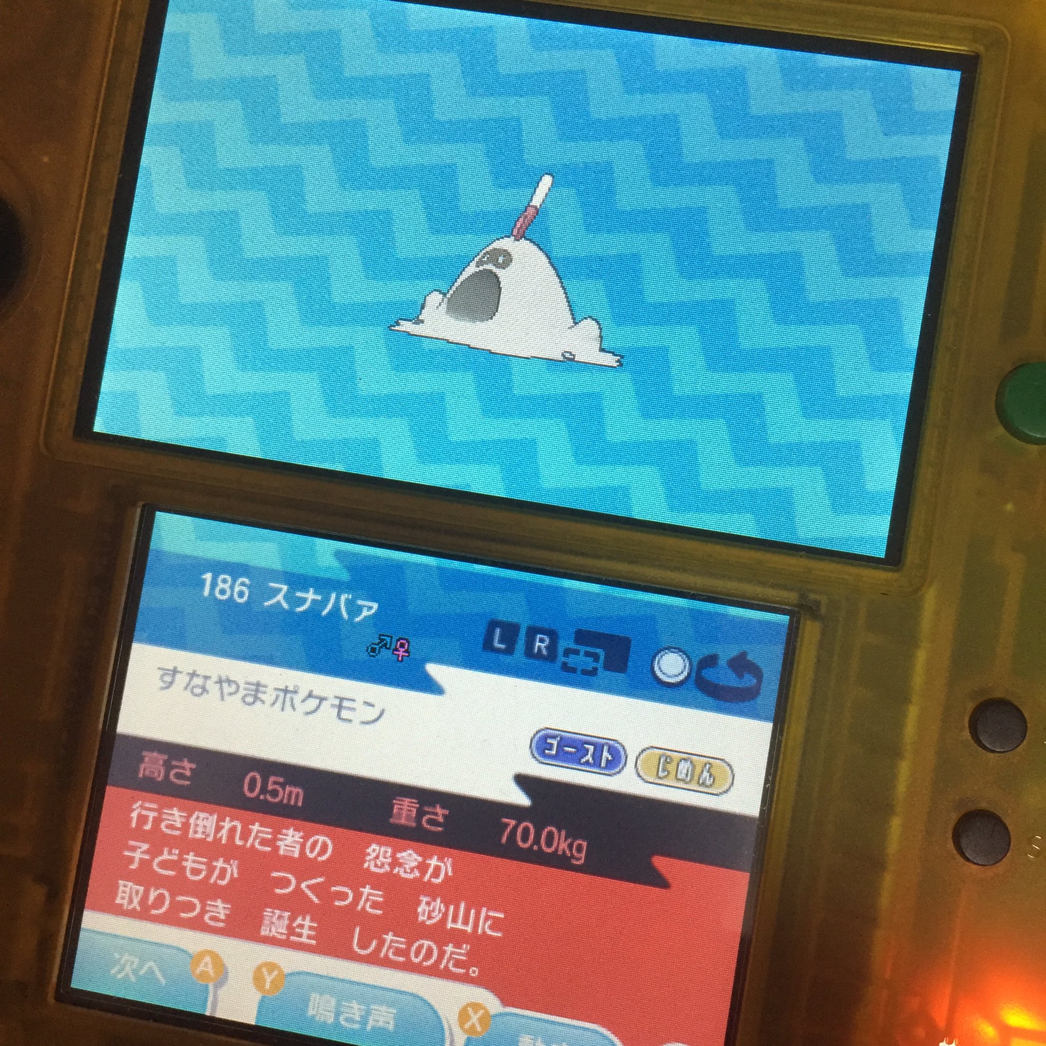 K ポケモン ライダー 2月は戦隊 K Pokemon Twitter