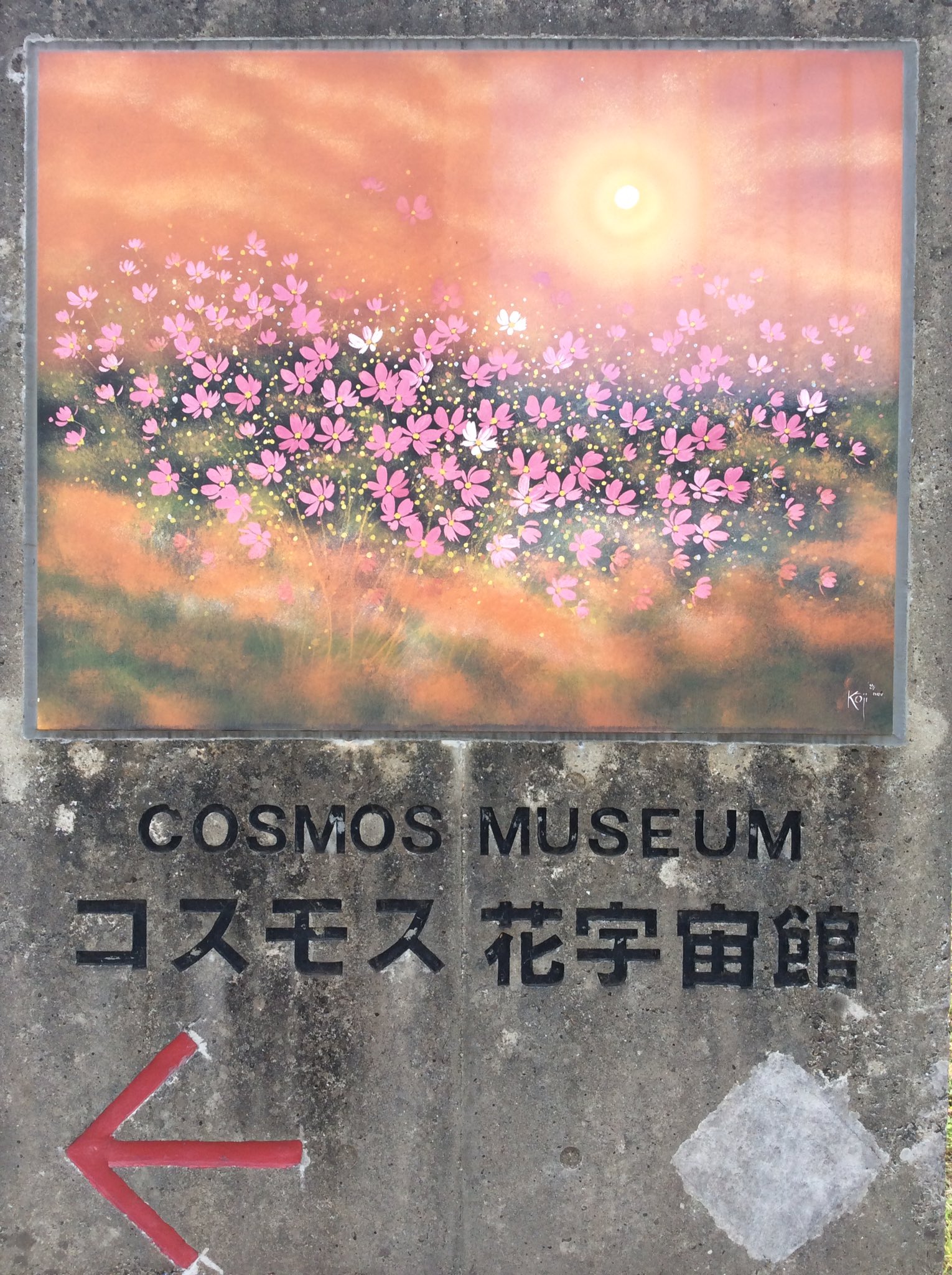 蛍 私の写真も展示していただいている コスモス花宇宙館に行ってきました 綺麗な写真沢山観れて良かった T Co Wyqck6tgsl Twitter