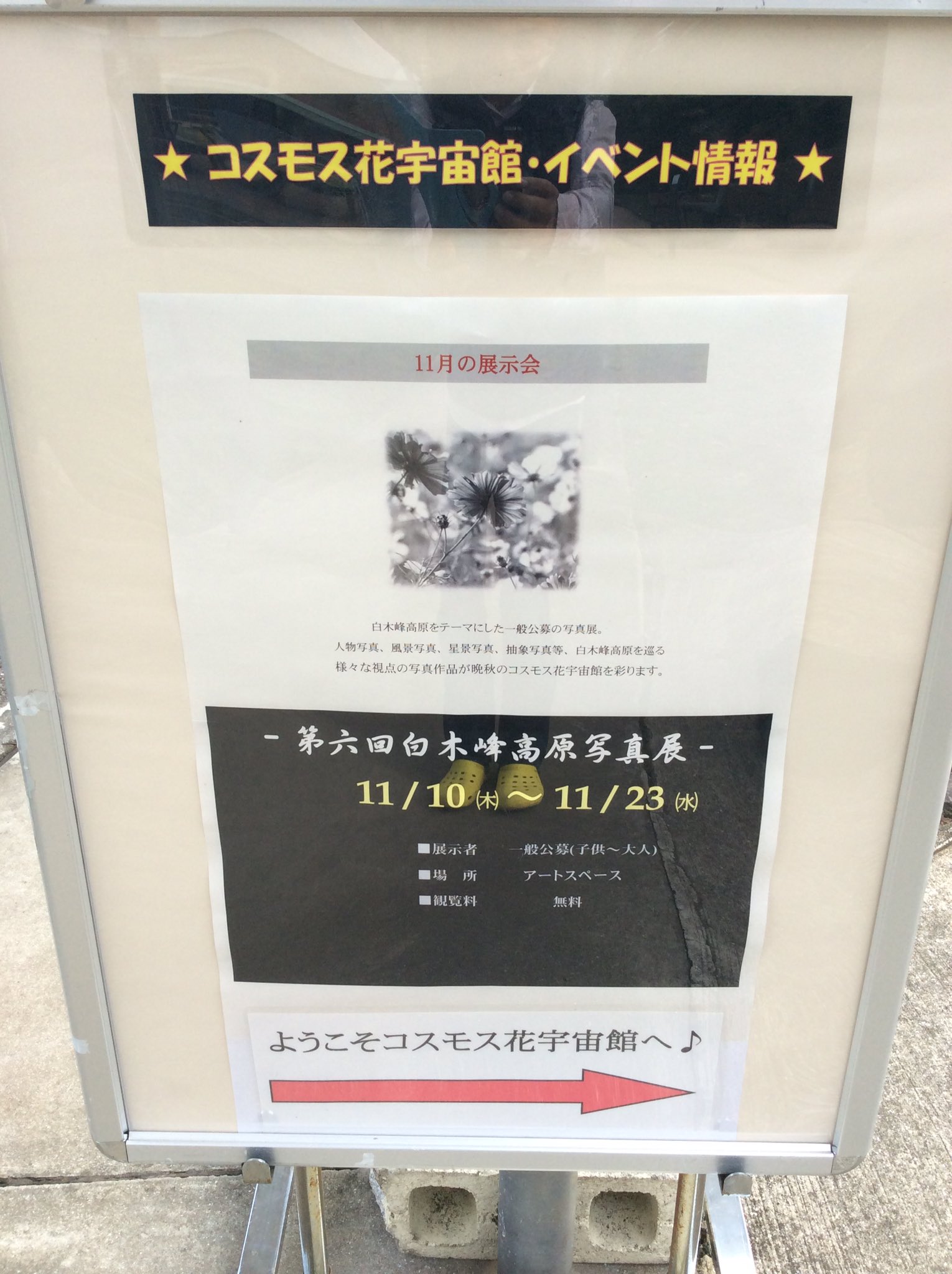 蛍 私の写真も展示していただいている コスモス花宇宙館に行ってきました 綺麗な写真沢山観れて良かった T Co Wyqck6tgsl Twitter