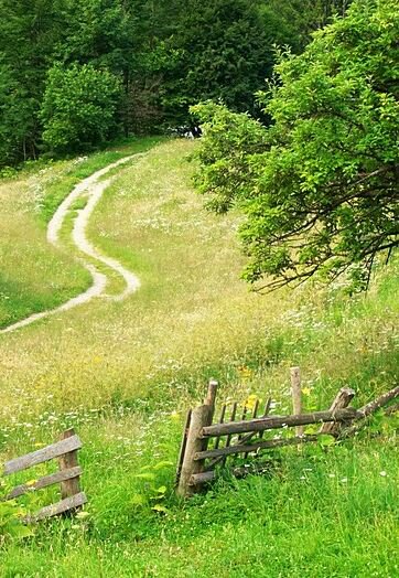 <a href="/KGfirefly/">Sea Firefly</a> 
Thank you:-)) 🌿🌿🌿🌿