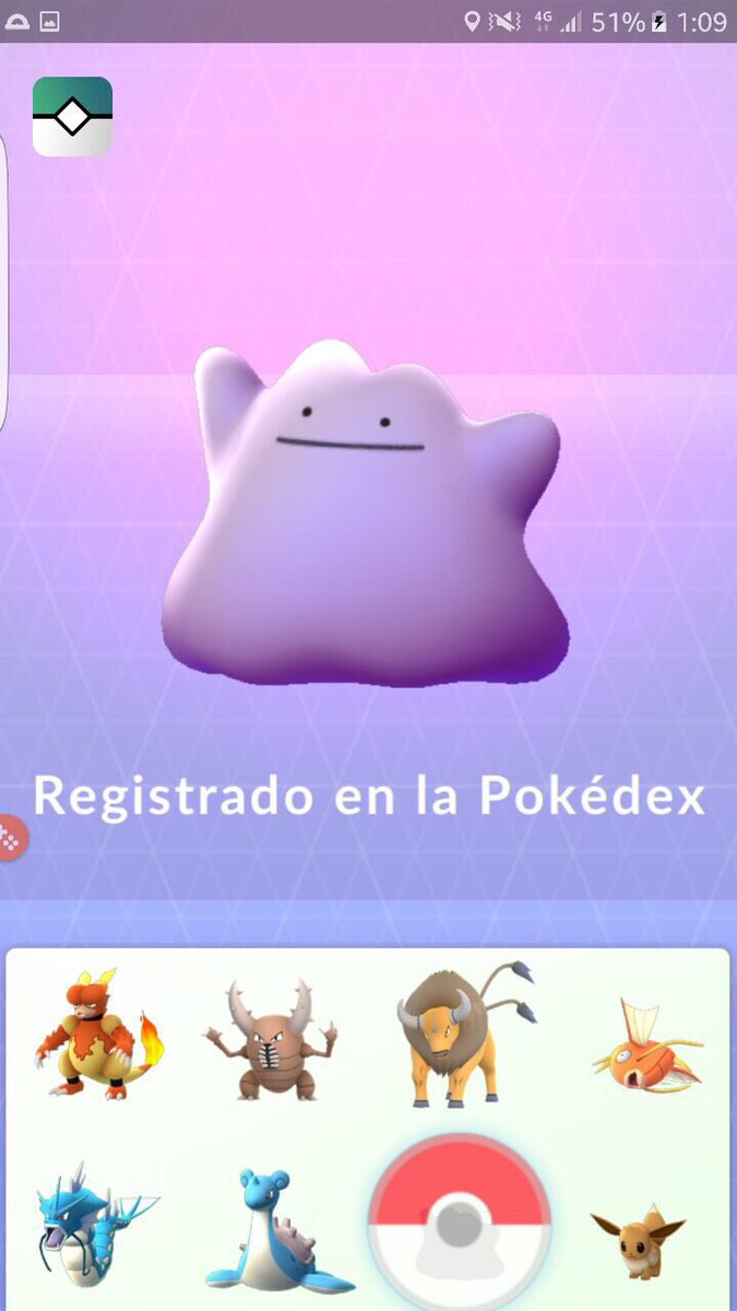 pokemongomca's tweet photo. Ditto ya está en Pokémon Go https://t.co/30sdCJdD7x
