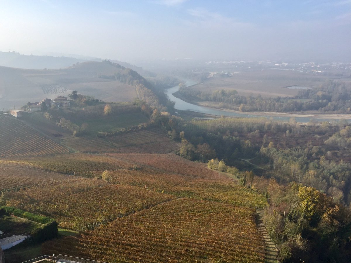 Andiamo a goderci l'autunno nelle #langhe #Barbaresco #visiteguidate #winetour #winetasting #view
