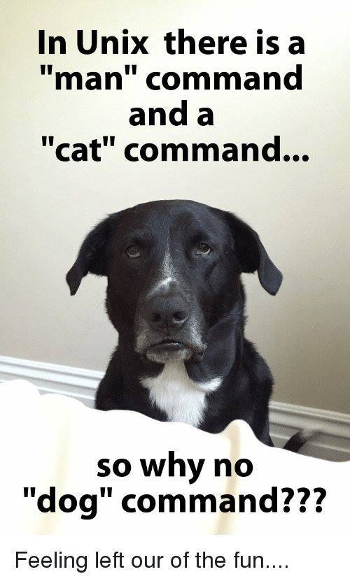 ollyman01's tweet image. Why there isn't a "dog" command in the *nix jargon ? #geek #unixCommands #FunCommands #cat #unix #linux #Ubuntu