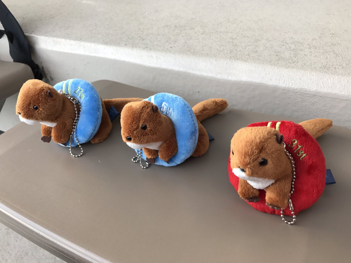 レトロ16 いかん 3人分買ってしまた O O Birthdayカワウソ カワウソちゃんに月 浮き輪に日が書いてあります イルカとかペンギンは見た事あるけどカワウソは初めて うみの杜水族館 レトロ16 いかん 3人分買ってしまた O O Birthdayカワウソ カワウソちゃんに月 浮き輪に日が書いてあります イルカとかペンギンは見た事あるけどカワウソは初めて うみの杜水族館