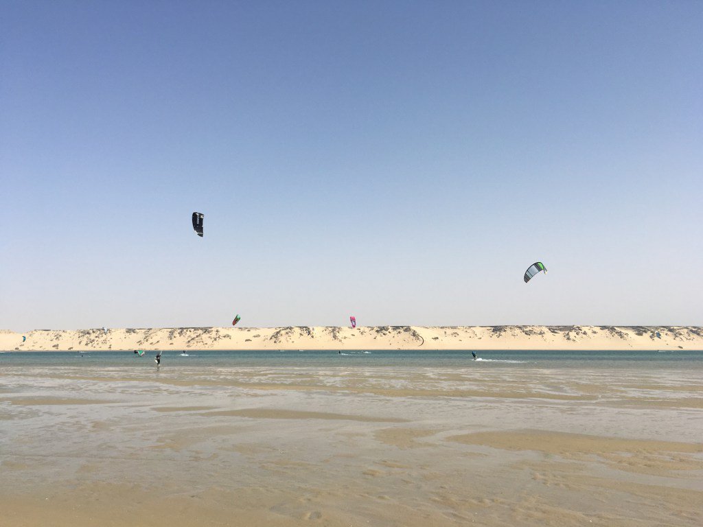 Franziska Kupfer tweet media