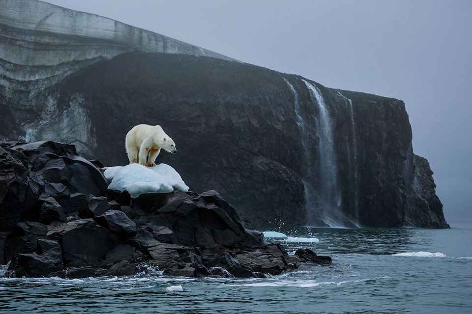 La foto que mejor podría resumir el cambio climático.
Via Miguel Morenatti.  By Cory Richards/National Geographic