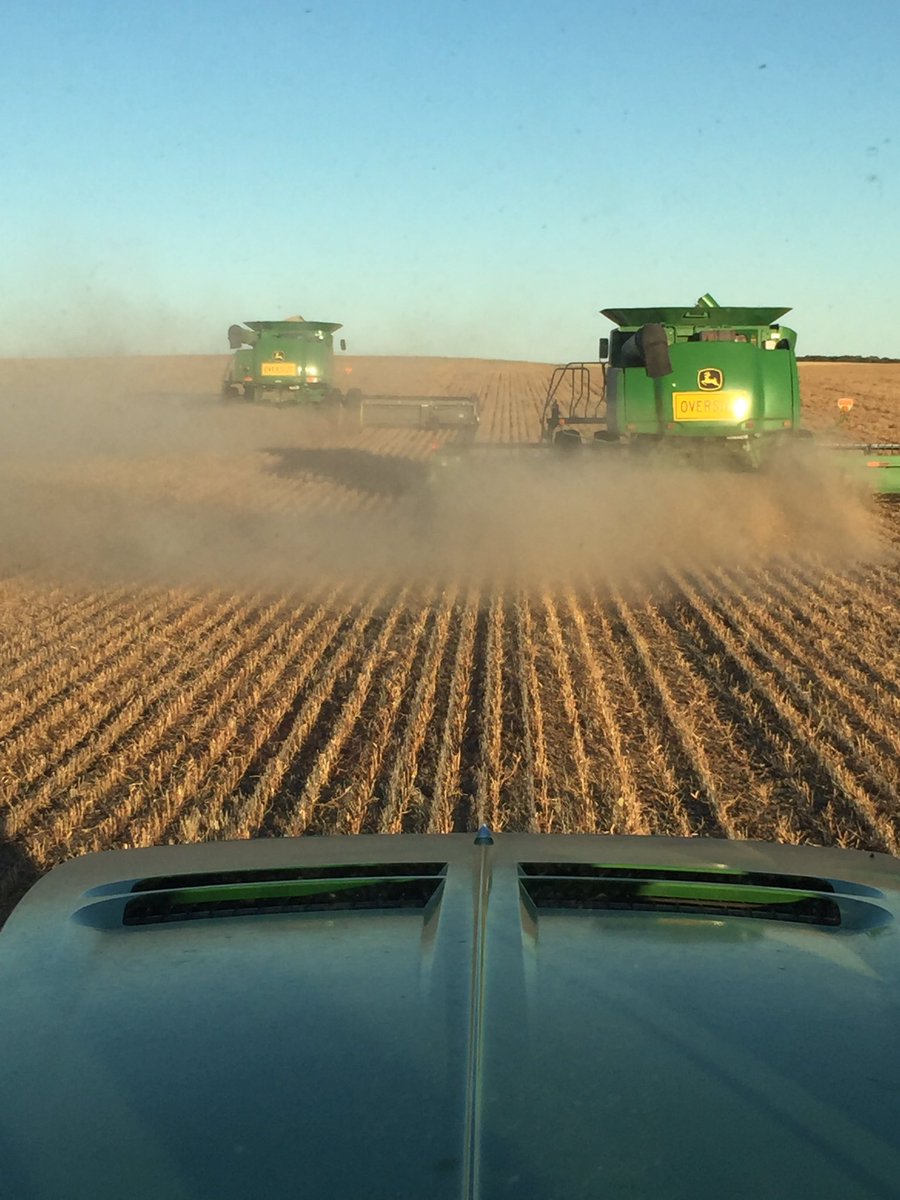 Corey_OC's tweet photo. Lupins #harvest16 https://t.co/MGfU2QMYnb