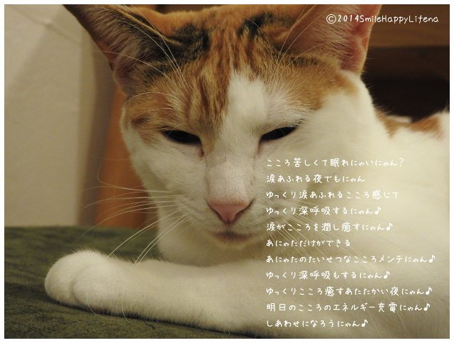 Twitterで画像を見る