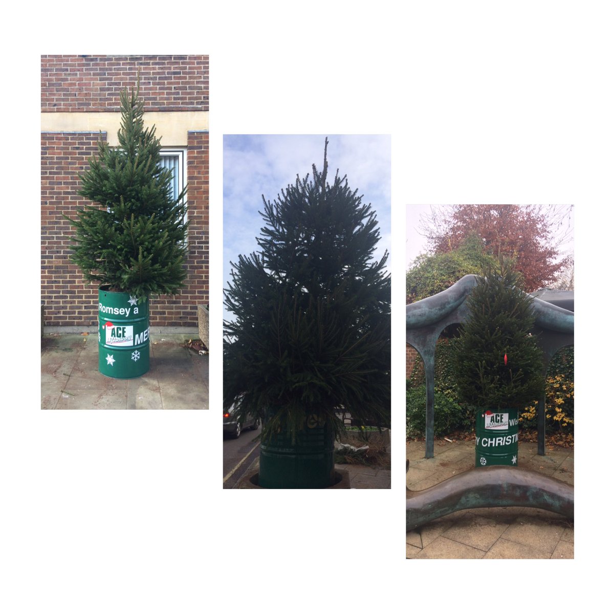 Trees in place, waiting for a touch of sparkle this weekend!✨#Chritmaslightsswitchon