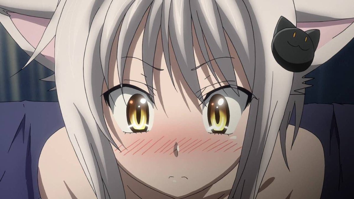 黒鷺 Auf Twitter 小猫ちゃん誕生日おめでとう 遅れてごめんね そして4期おめでとう 塔城小猫生誕祭 塔城小猫生誕祭16 11月23日は塔城小猫の誕生日 ハイスクールd D 小猫ちゃん好きな人rt 祝ってくれる人rt Rtした人全員フォローする いいねした人全員 黒鷺 Auf Twitter 小猫ちゃん誕生日おめでとう 遅れてごめんね そして4期おめでとう 塔城小猫生誕祭 塔城小猫生誕祭16 11月23日は塔城小猫の誕生日 ハイスクールd D 小猫ちゃん好きな人rt 祝ってくれる人rt Rtした人全員フォローする いいねした人全員