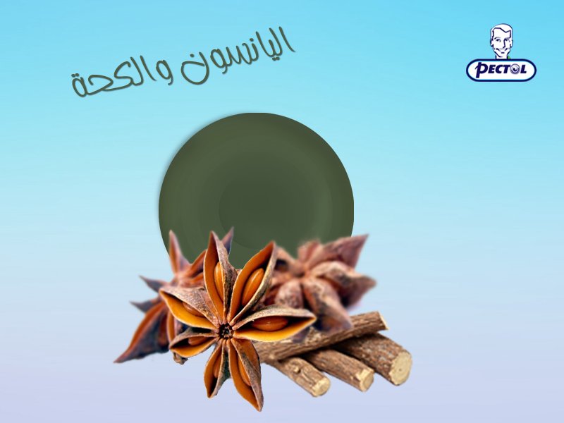 PectolMENA's tweet photo. اليانسون يعتبر أهم مهدئ طبيعي للكحة و منشط للجهاز التنفسي .. علشان كدا #بيكتول بفوائد اليانسون و العرقسوس + فيتامين C
#Pectol #Anise https://t.co/zXVgLGKZg7