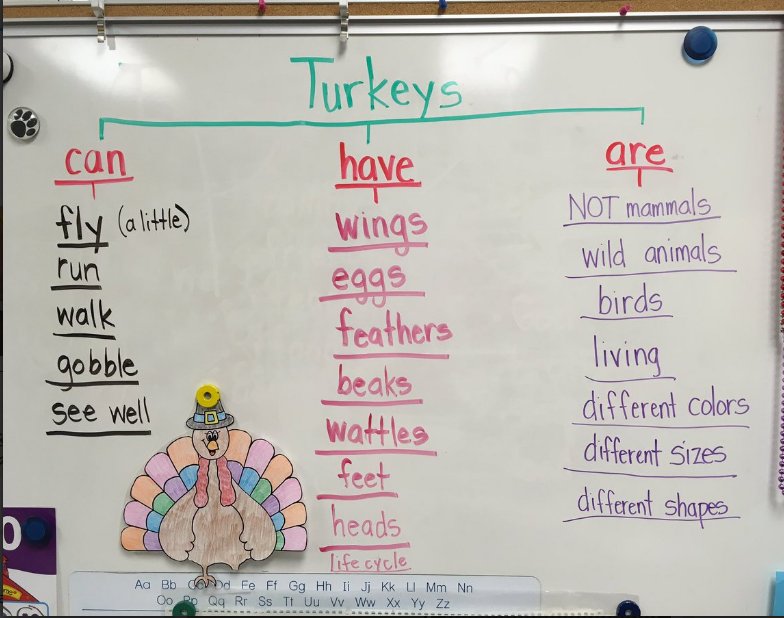 Example Of Tree Map Thinking Maps On Twitter: "We Love This In-Class Example Of A #Treemap  About #Turkeys! Be Sure To Share Your Examples With Us Too!  #Thinkingmapthanksgiving Https://T.co/1Yvftpsdeg" / Twitter