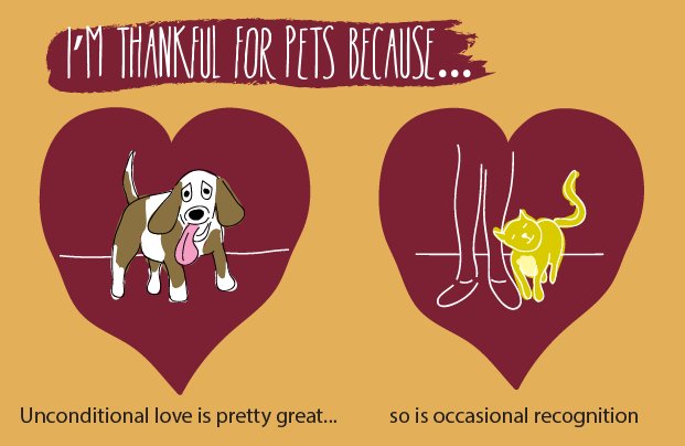 PawCulture's tweet image. #HappyThanksgiving! At PawCulture, we&apos;re most #ThankfulForPets. What are you thankful for? #Thanksgiving