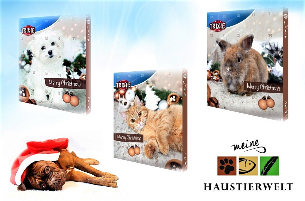 Jetzt noch einen der letzten Weihnachtskalender für euren Liebling sichern!

Erhältlich im Onlineshop unter meinehaustierwelt24.de/sonderangebote…