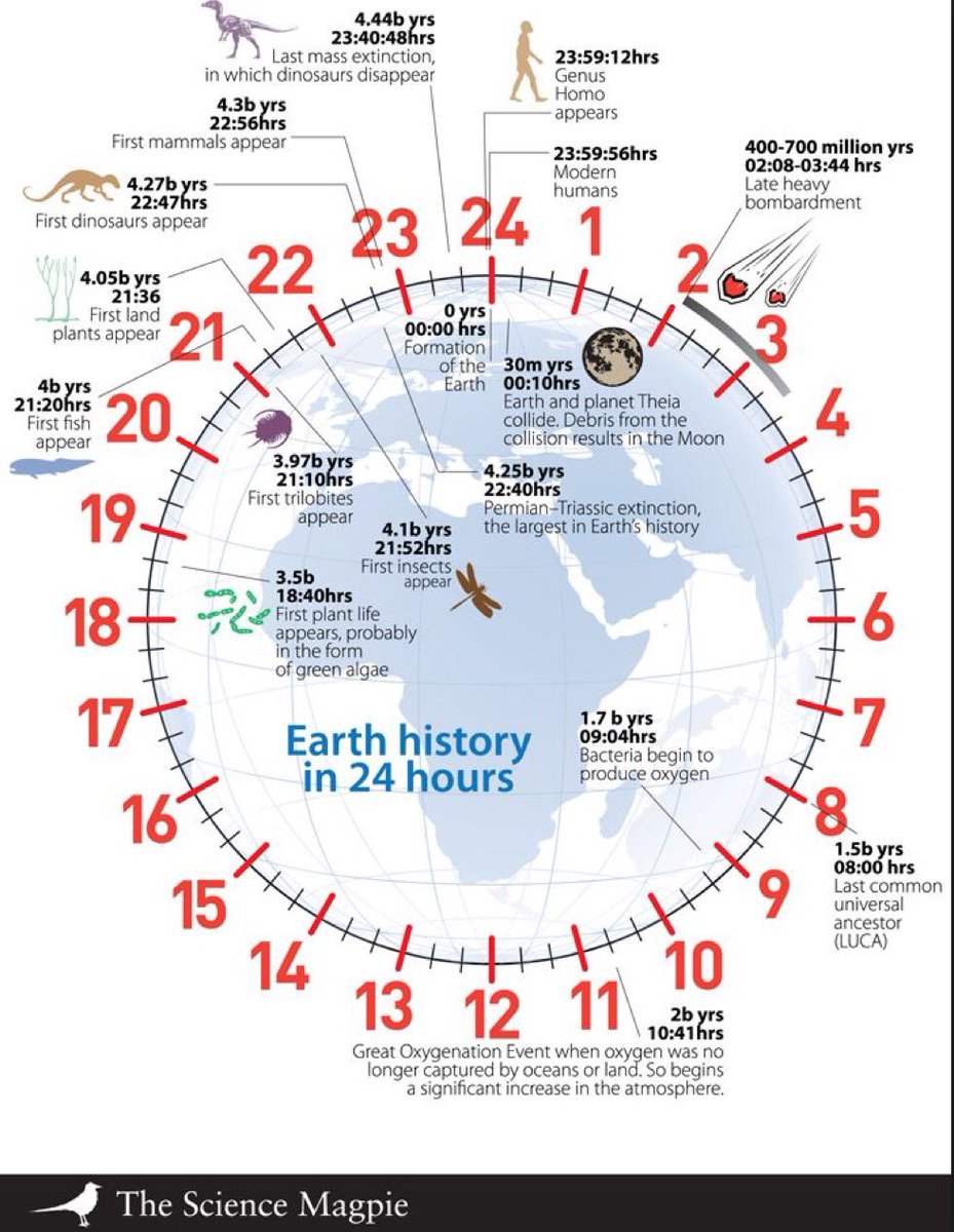 Our_PIanet's tweet image. The history of our planet condensed into 24 hours.