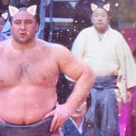 祖父に『SNOW』を教えた結果!『SUMO（相撲）』の画像が送られるようになった!