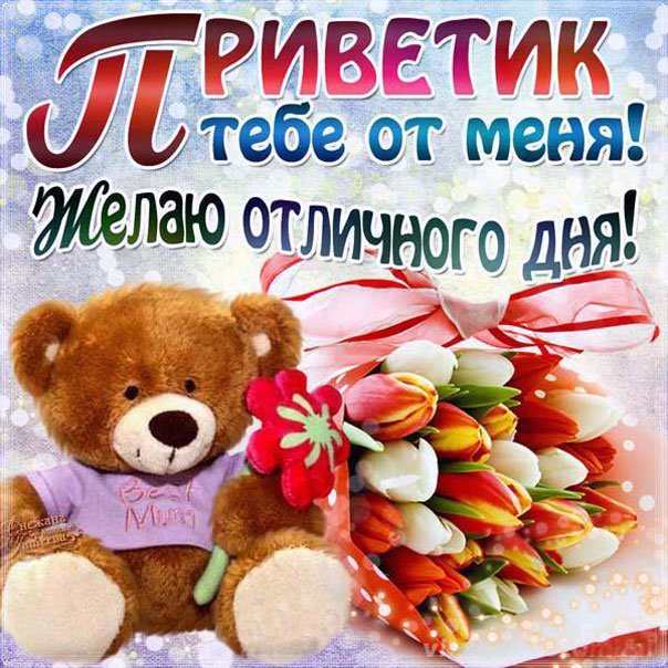 Картинки и тебе приветик