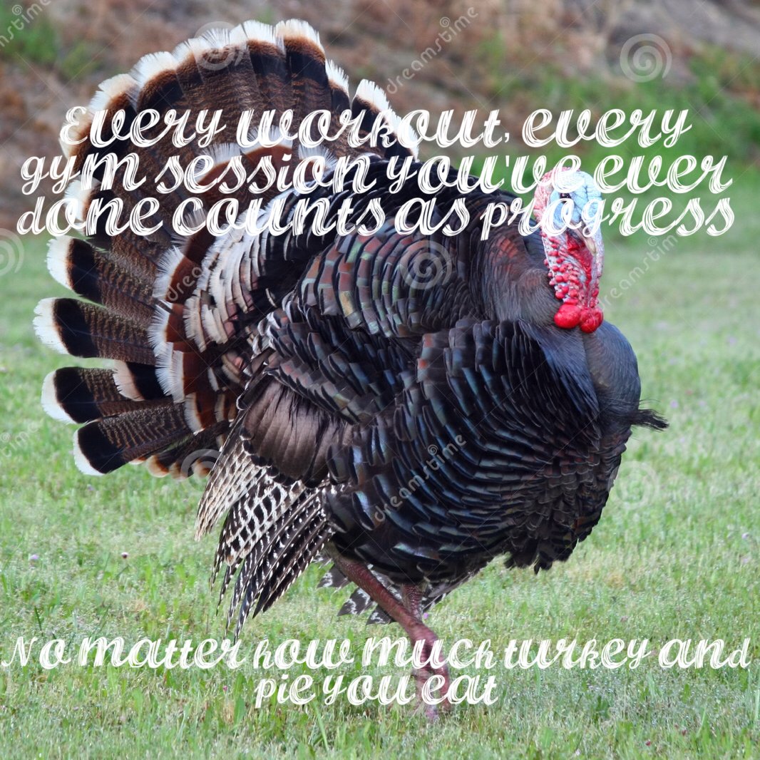 TrainerNate's tweet photo. Every workout, every dietary change counts the matter how much turkey and pie you eat. #FitPham #Nutrition #Progress #Fit #Novi https://t.co/4xkYcyaXfu