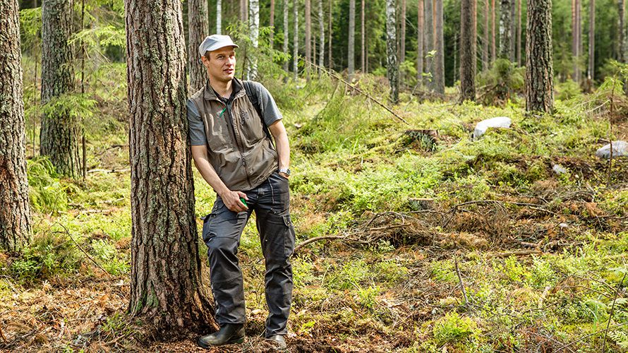 Work pays off! #biodiversity visible in commercial forests upm.smh.re/gB