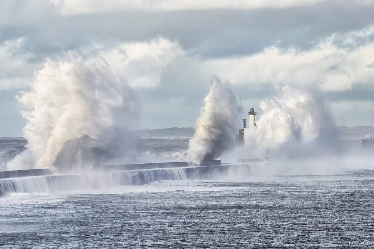 Bigand Florian tweet media