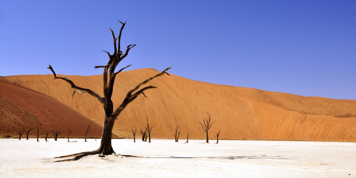17 of the most alien-looking places on #Earth? If you are curious check them out here: ow.ly/BN9C306rPWD #Travel