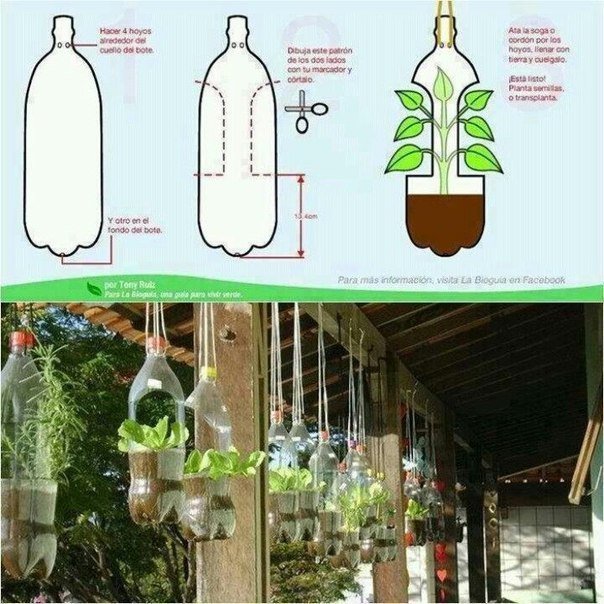 Serviceyard_net's tweet photo. Идея для рассады🌱🌱🌱
#ServiceYard #дом #квартира #идеи #заходите #ServiceYard #проблемы #дача #решаем https://t.co/BA841PhLPY