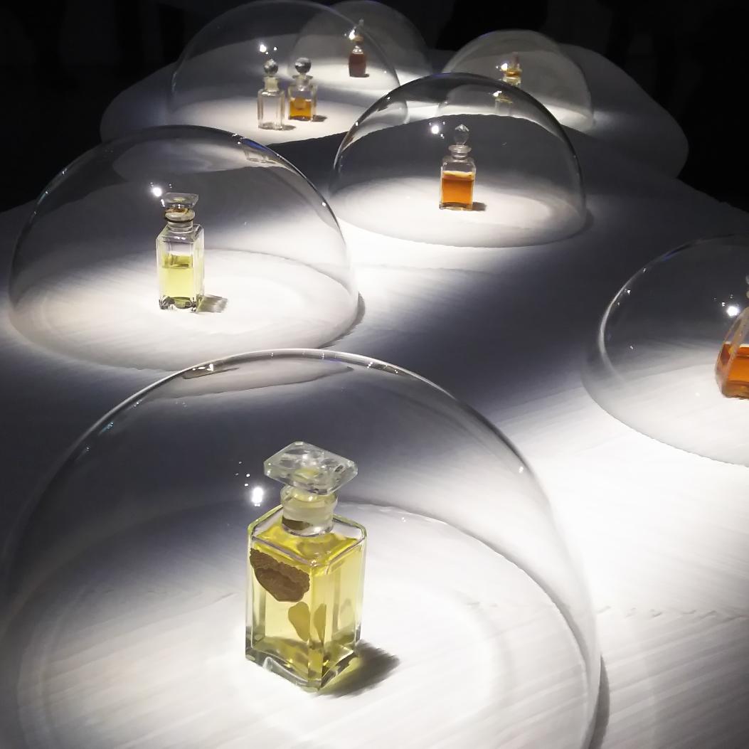 nanchi101's tweet photo. 資生堂ギャラリーにて開催中の「Les Parfums Japonais―香りの意匠、100年の歩み―」展。資生堂の香水への思いを感じる展覧会。香水を身に纏うことはあまりないけれど香水瓶が好き。 #資生堂ギャラリー #香水瓶 https://t.co/witN7Msb2U
