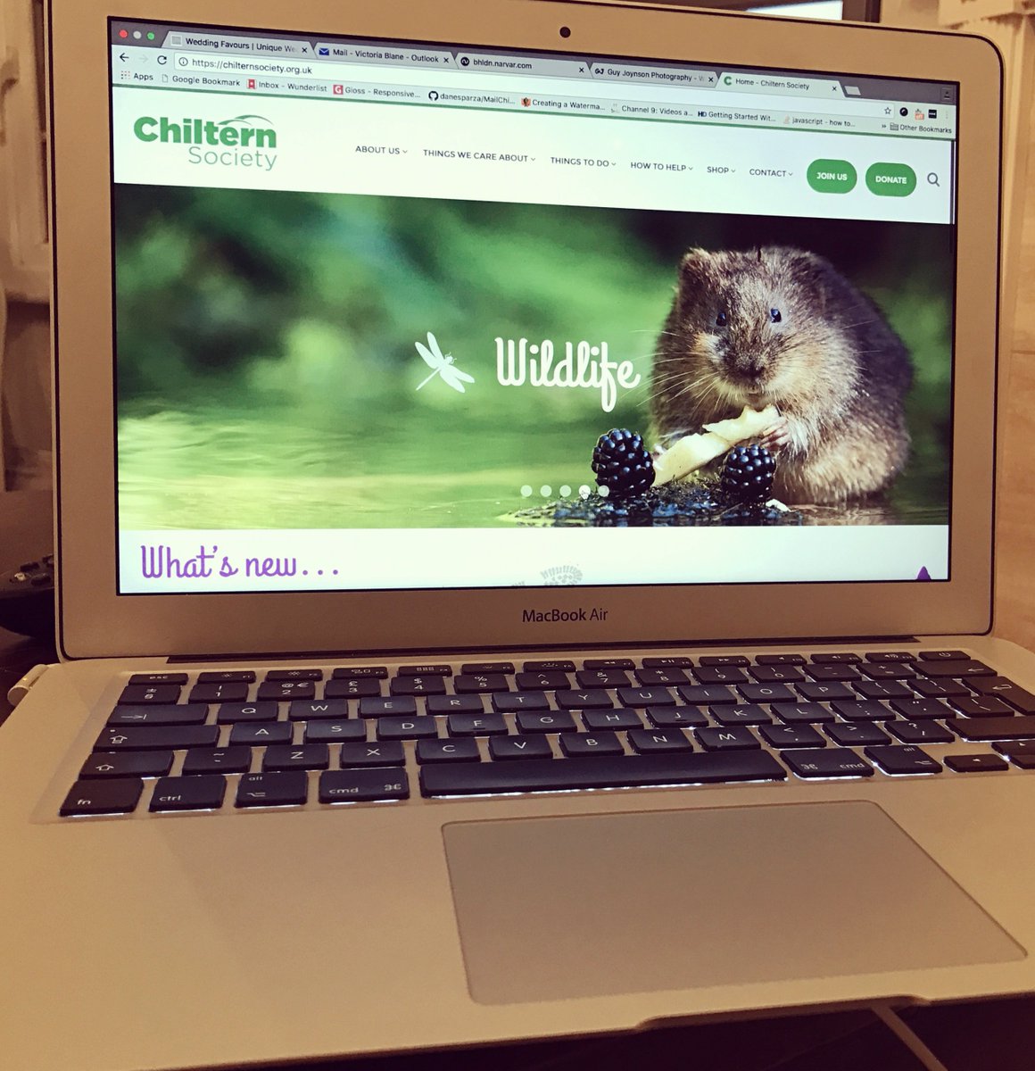 ChilternSociety's tweet image. Our beautiful new website is now LIVE! Take a look at all the things we do to help keep the #Chilterns so special. chilternsociety.org.uk