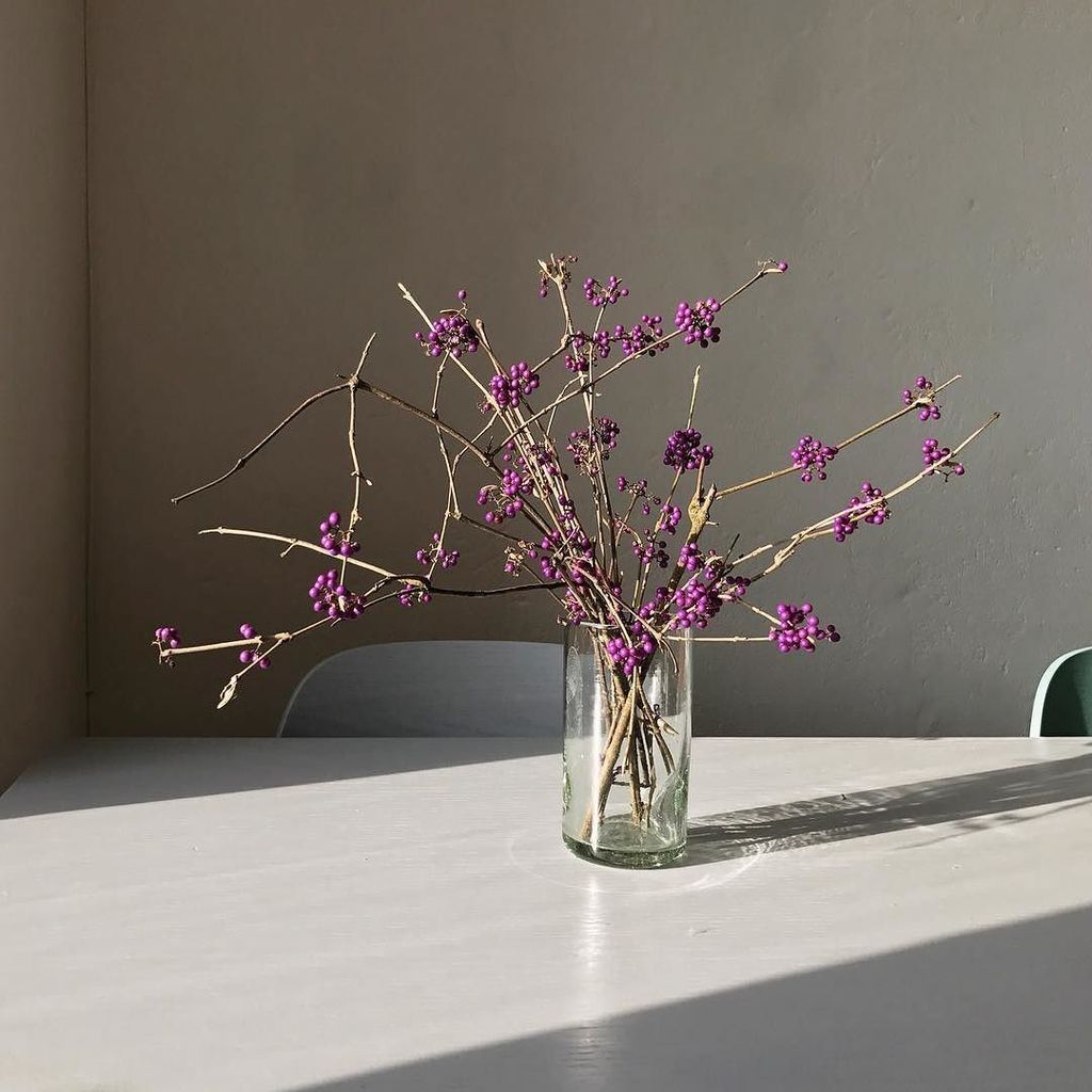 HUNDERTMARK tweet media