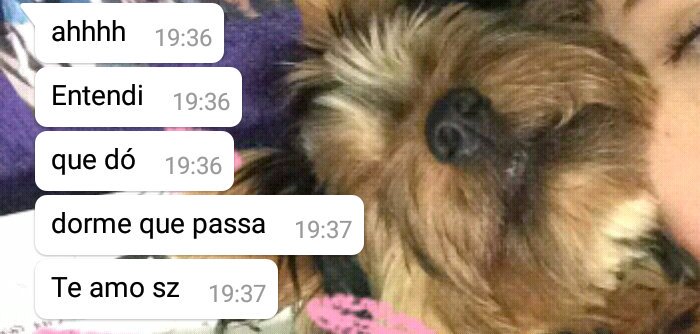 _oiwsa's tweet photo. eu recebendo conselhos/eu dando conselhos https://t.co/ksS9UlrkPd